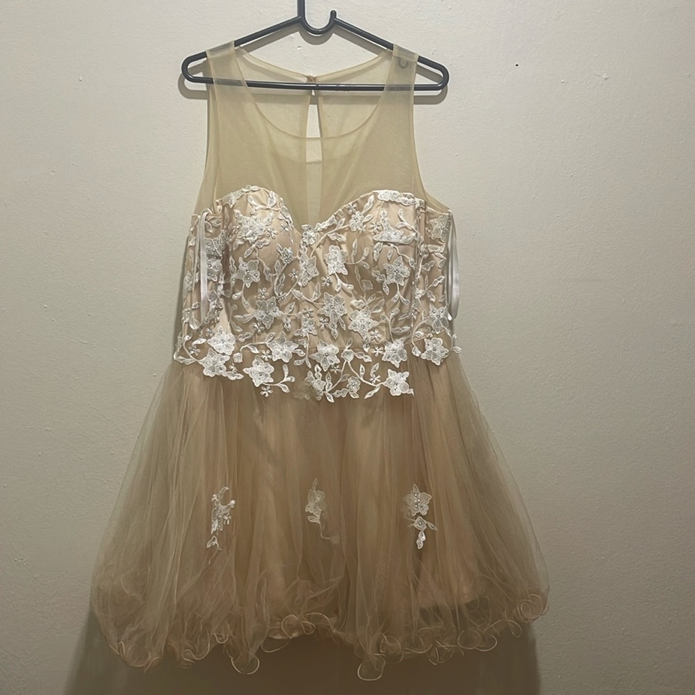 This a lovely dress from a company Dancing Queen in the size XXXL color nude.
